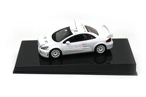  Peugeot 307 WRC